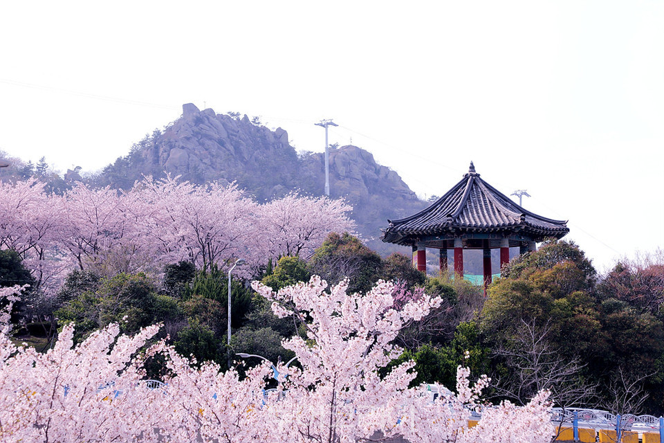 2024 유달산 봄축제 기간 가는 방법 주차장
