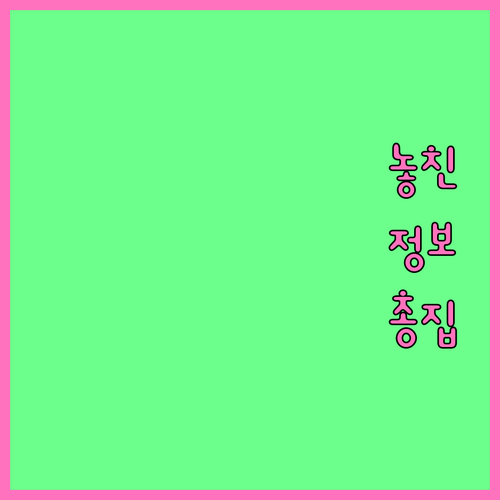 개인회생 중 세금 완납, 법원 보고 