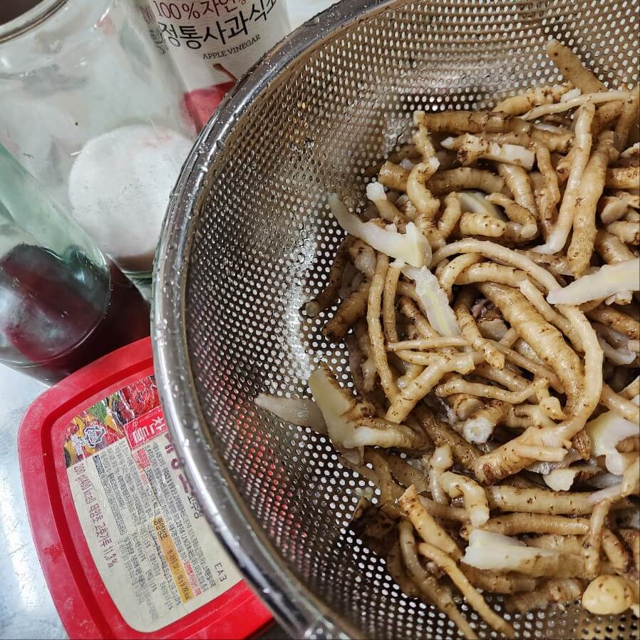 아는 사람만 먹는 옹굿나물 무침 레시피 봄철 폐에 좋은나물