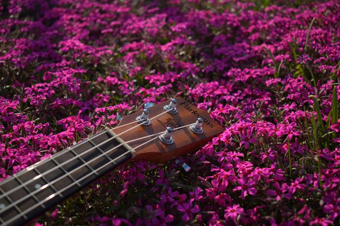 Ukulele
