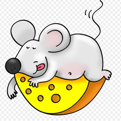 2026년 병오년 쥐띠 신년운세 무료보기