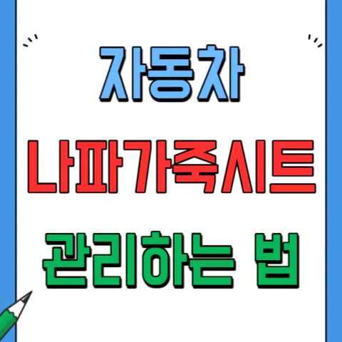 자동차 나파가죽시트 관리방법