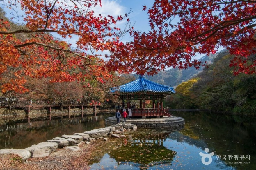 정읍 내장산 자연휴양림