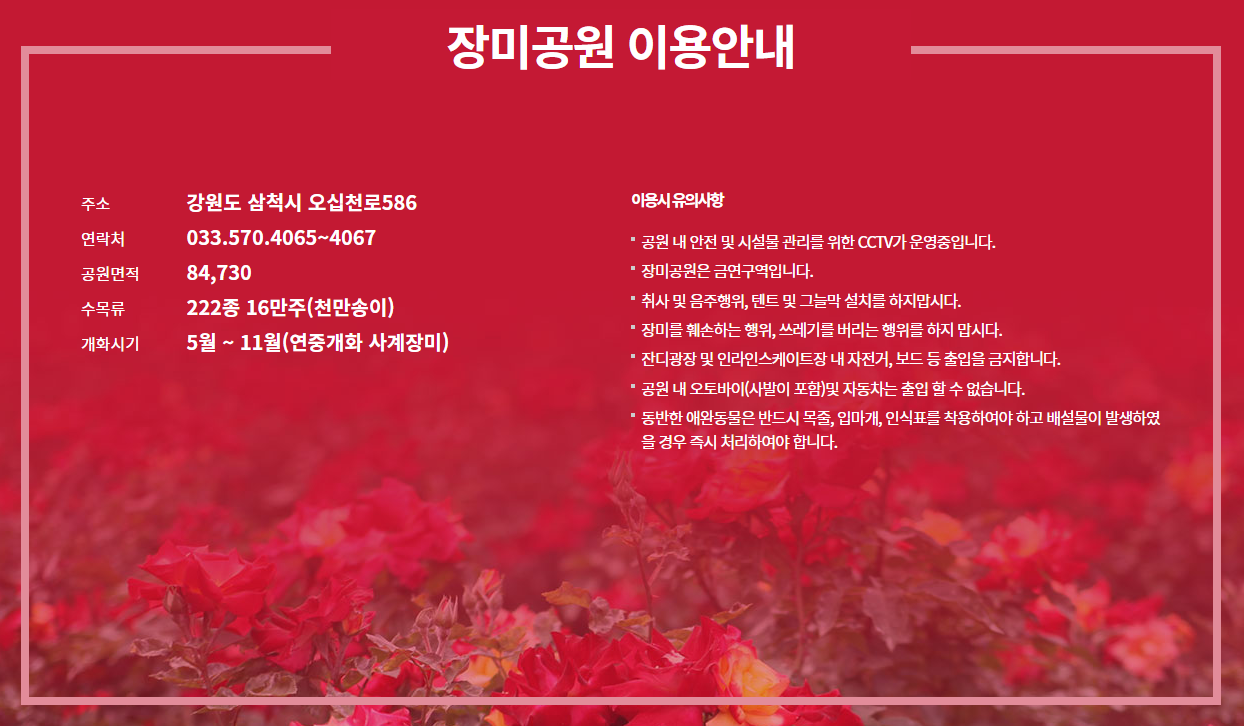 삼척 장미공원