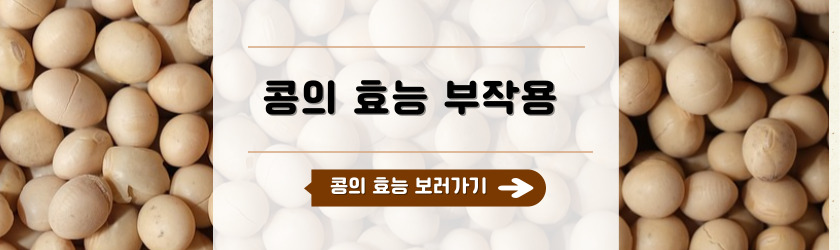 콩의 효능
