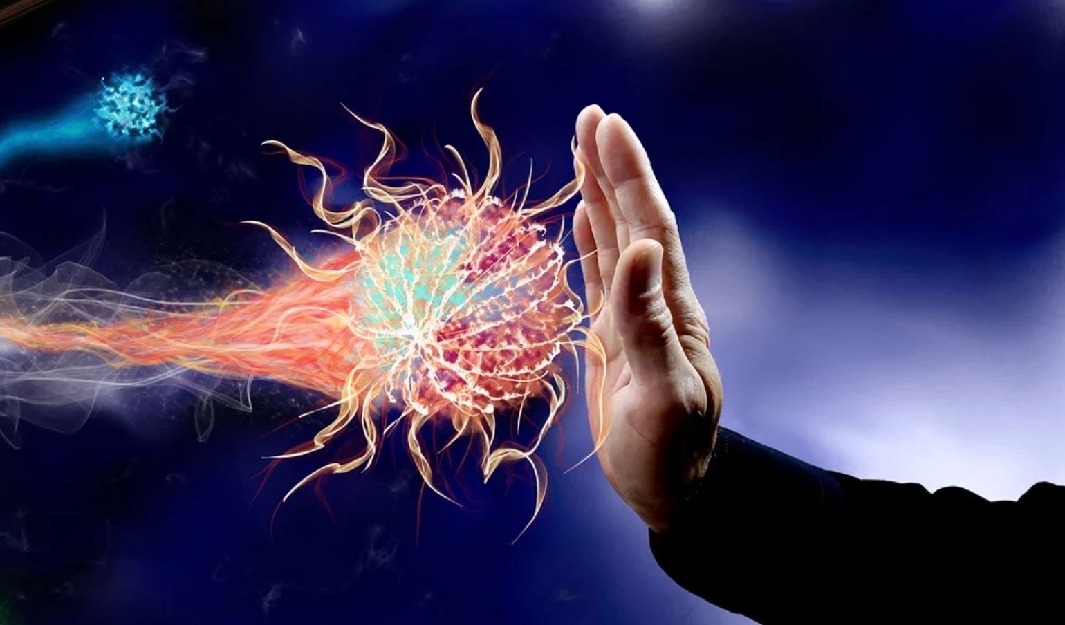 면역력을 강화하는 음식 TOP 10