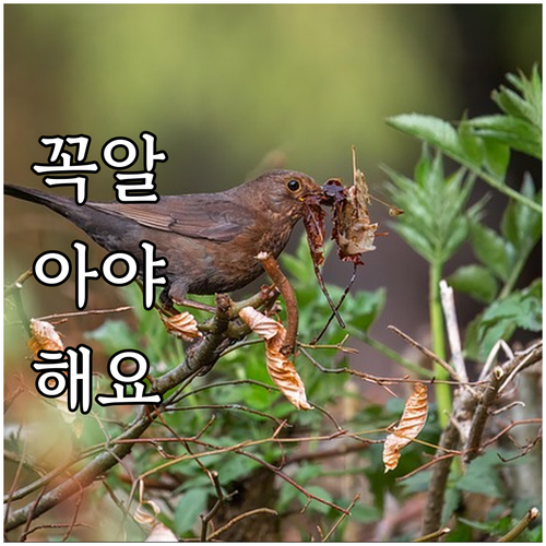 2025 공익직불금 자격 요건부터 지..