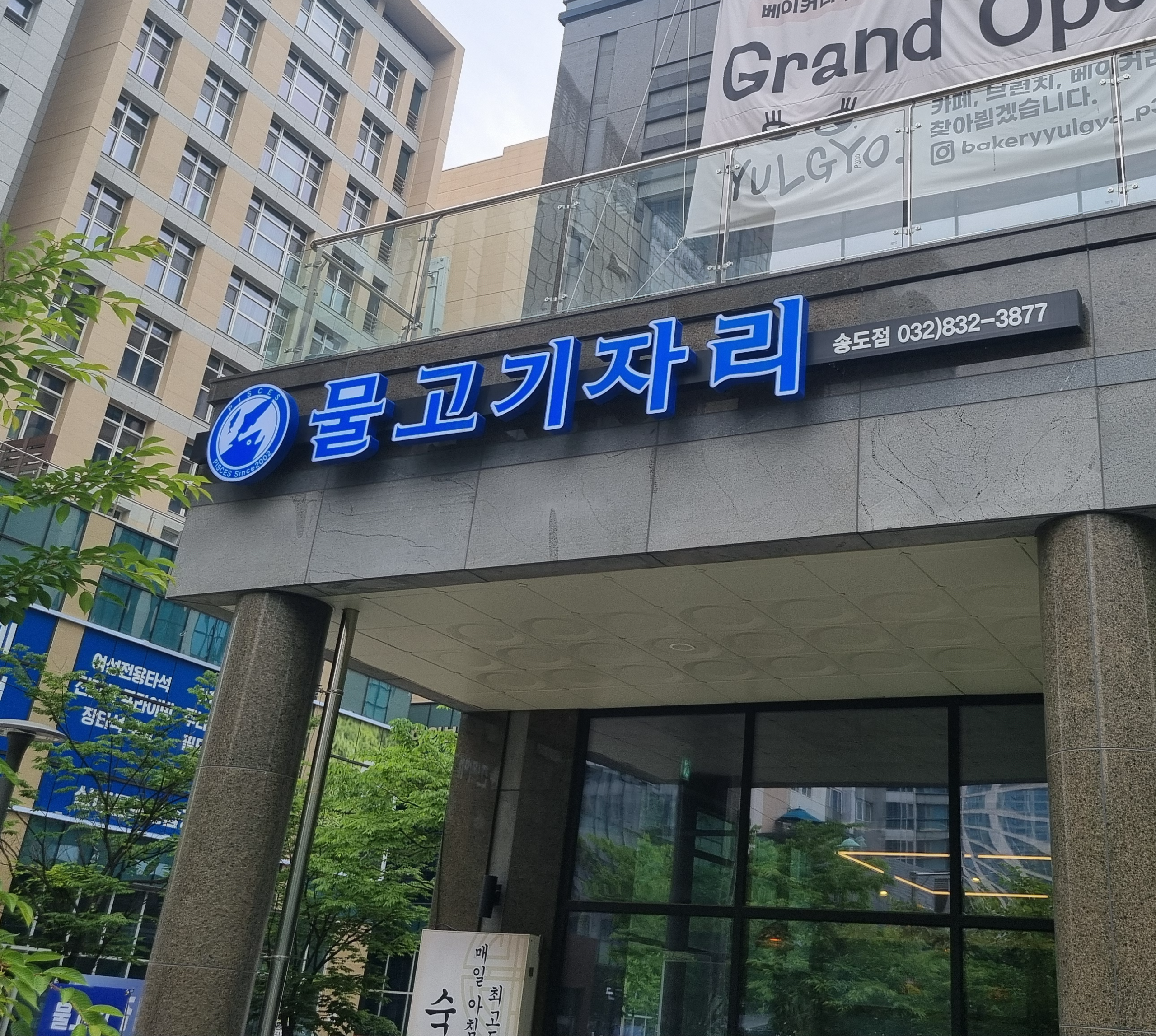 송도숙성회맛집 , 송도물고기자리, 송도광어맛집