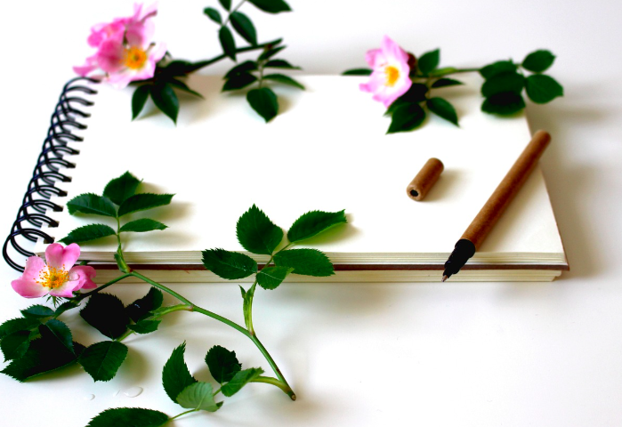 다이어리 꾸미기의 새로운 트렌드, 아날로그 감성을 찾아서