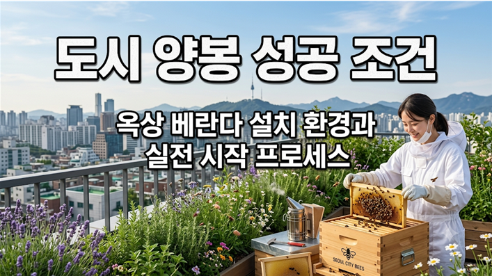 옥상 베란다에 벌통을 설치하여 양봉하는 모습