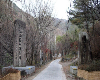 비슬산 자연휴양림_7