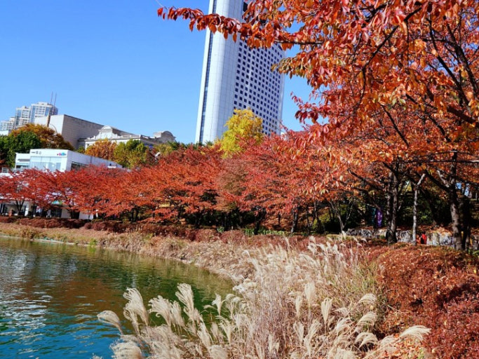 서울 단풍명소 TOP10 ❘ 2025 가을 여행 추천 스팟 총정리 관련 사진