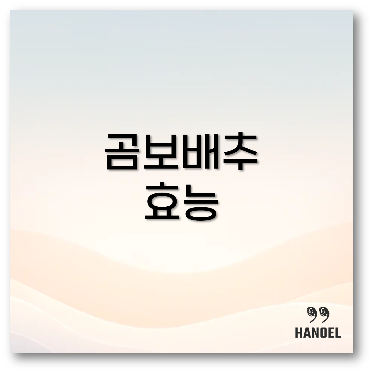 곰보배추 1