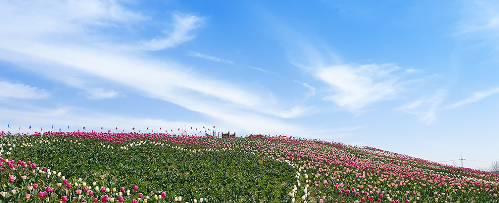 평택 농업생태원 축제 및 관람 정보 알아 보기