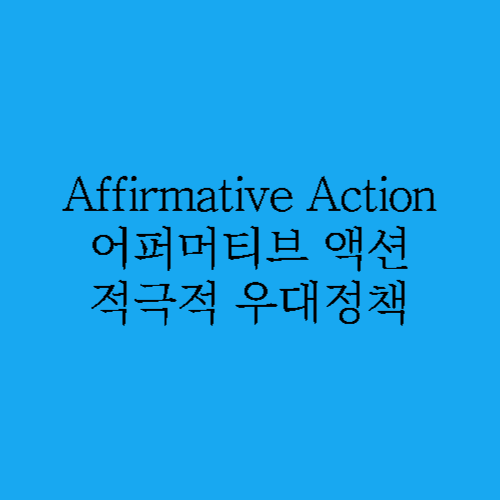 Affirmative Action 정책