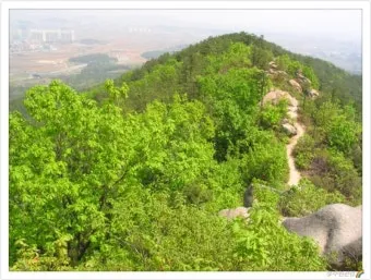 수원 칠보산 등산 코스 추천 용화사 코스로 여유롭게 걷기_5