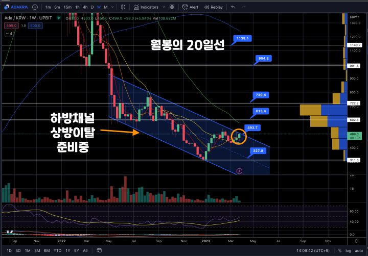 에이다차트분석