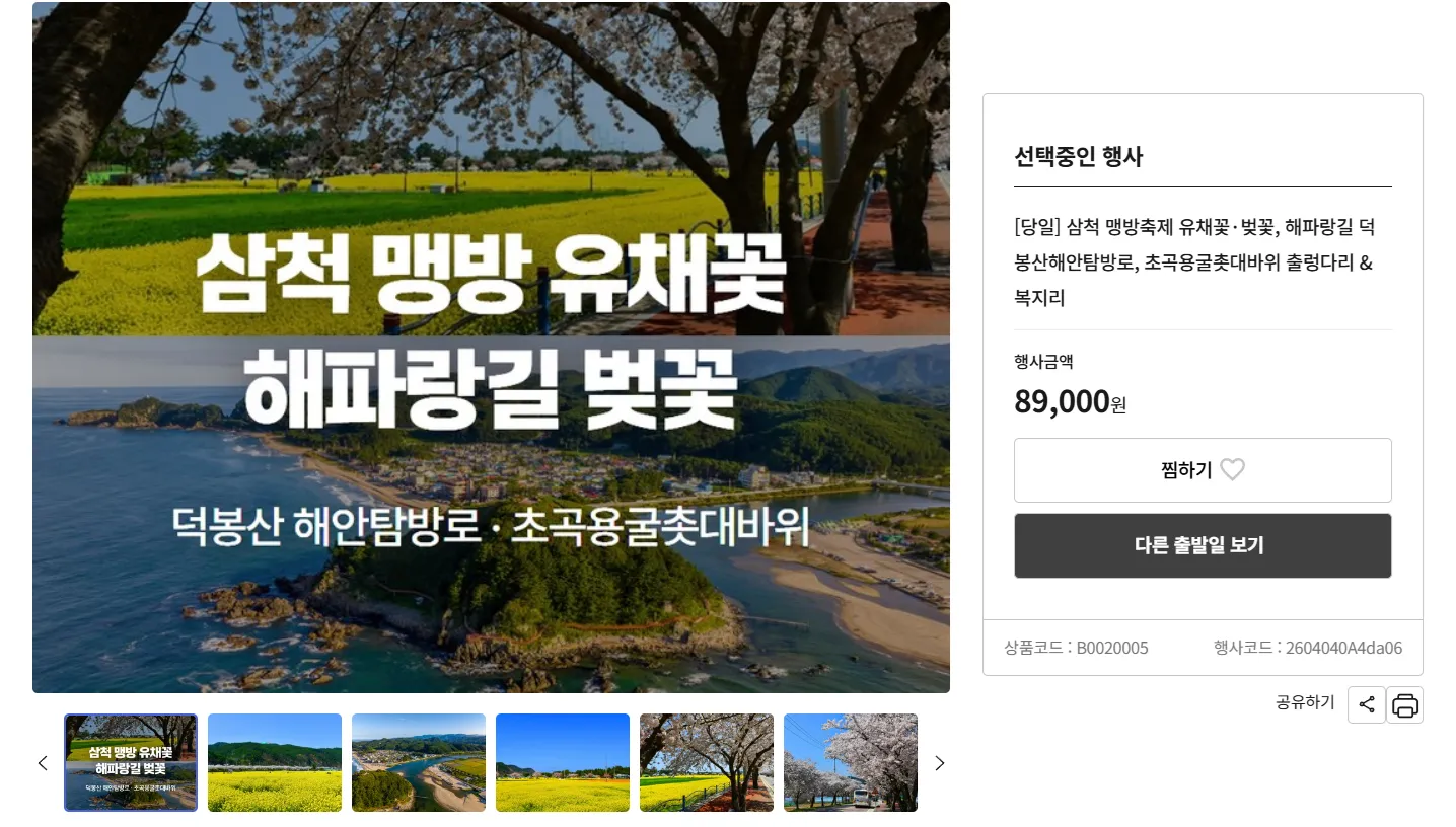 강원도 삼척 맹방 유채꽃 승우여행사 버스 투어