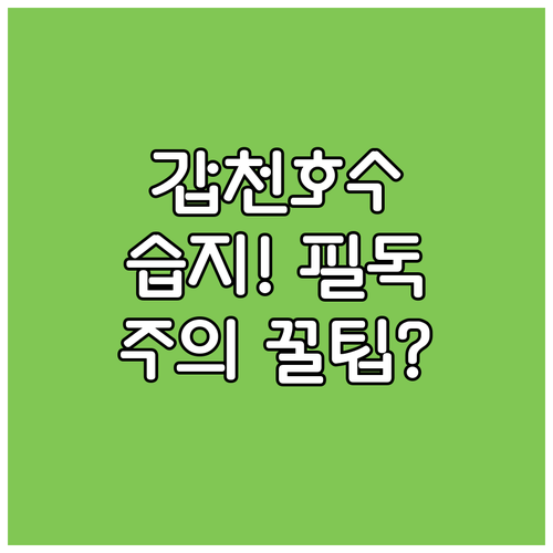 생태 보고 갑천호수공원: 습지, 갈대..