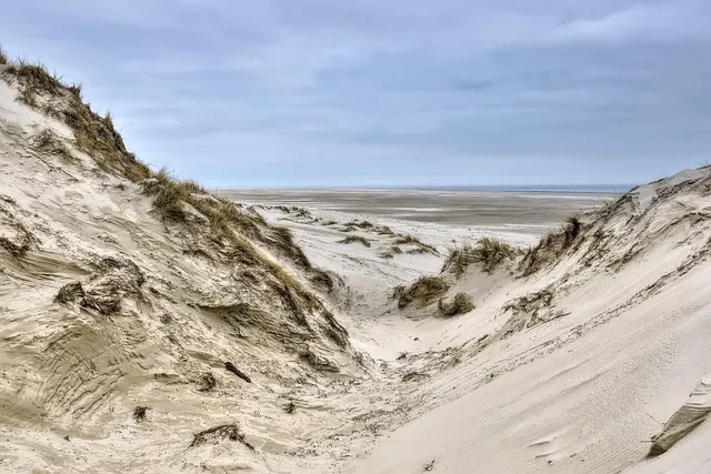 토사구팽 뜻과 5가지 상황별 해석 정리_6