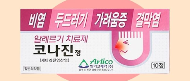 코나진정 효능2