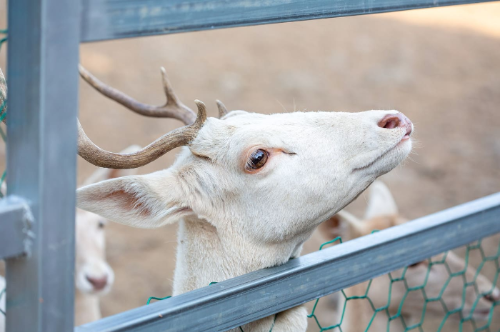 제주 파더스가든