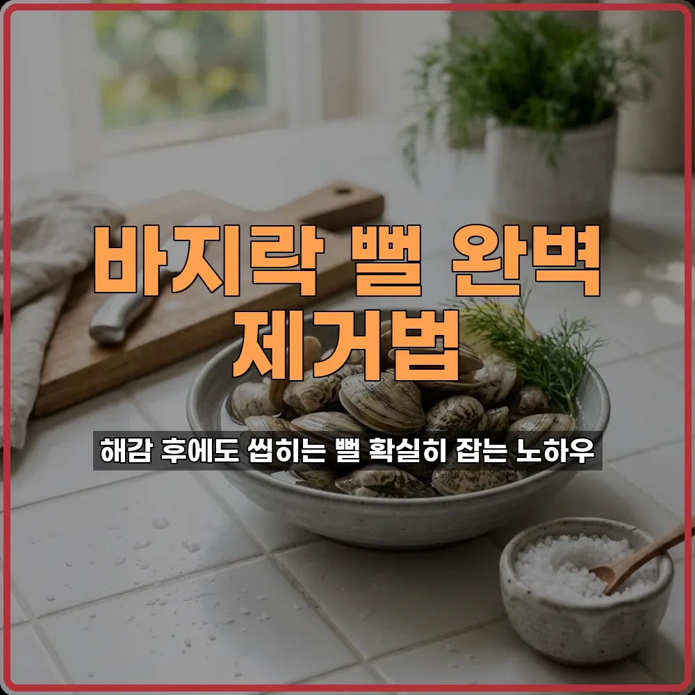 살림노하우