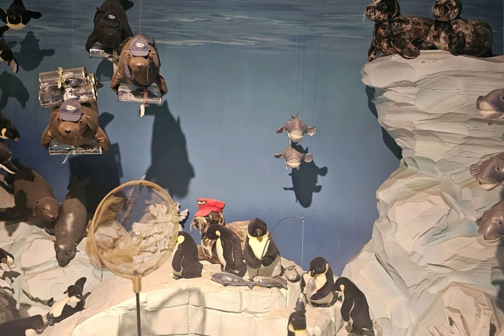 바니베어뮤지엄