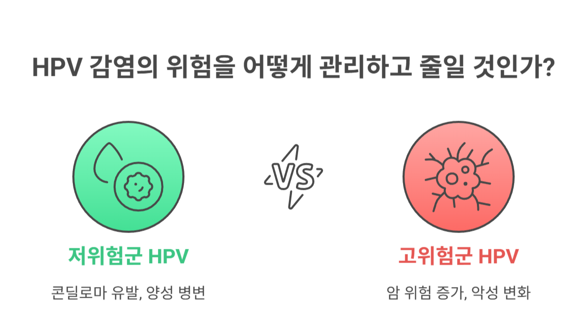 콘딜로마란? HPV 감염 기본 이해하기