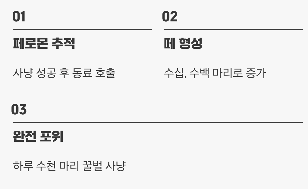 단순한 사냥을 넘어선 '집단 학살'