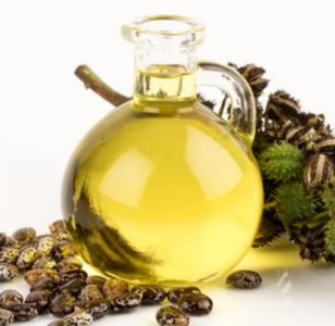 가을에 피는 꽃 아주까리-피마자유