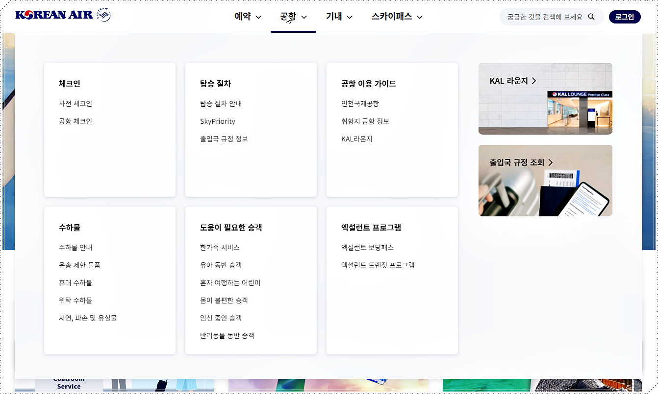 체크인 및 수하물