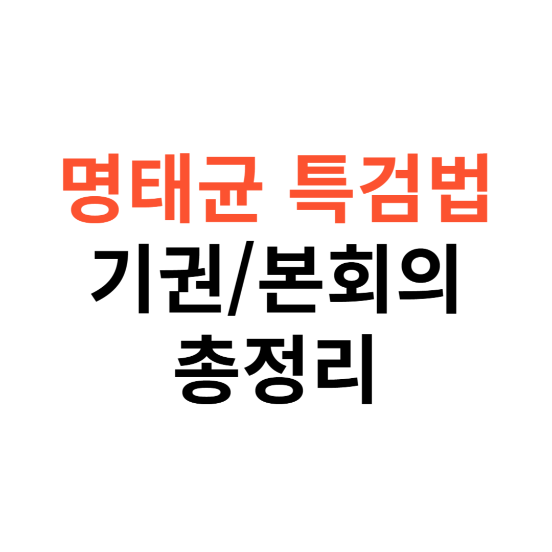 2025 명태균 특검법