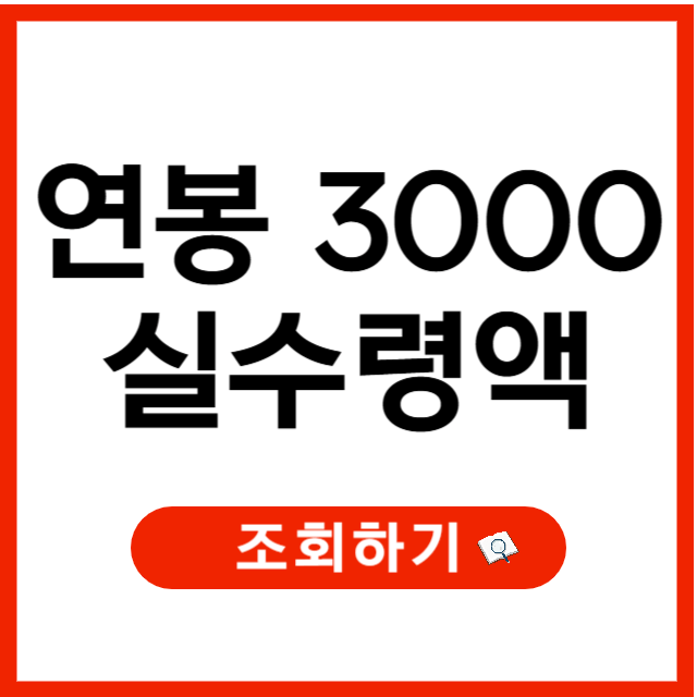 연봉 3000 실수령액, 연봉 실수령액 계산기