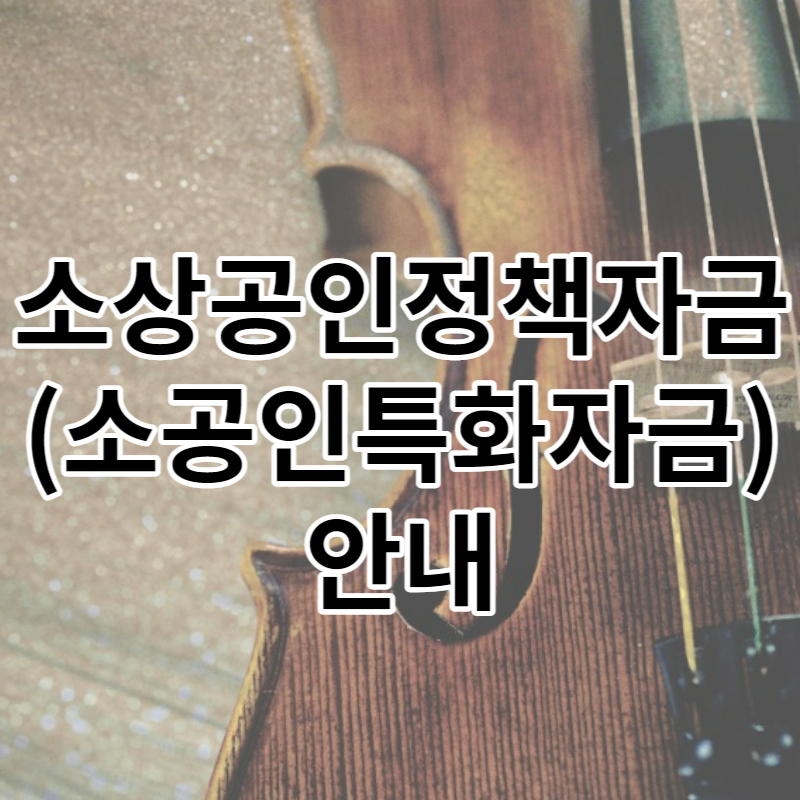 소상공인정책자금