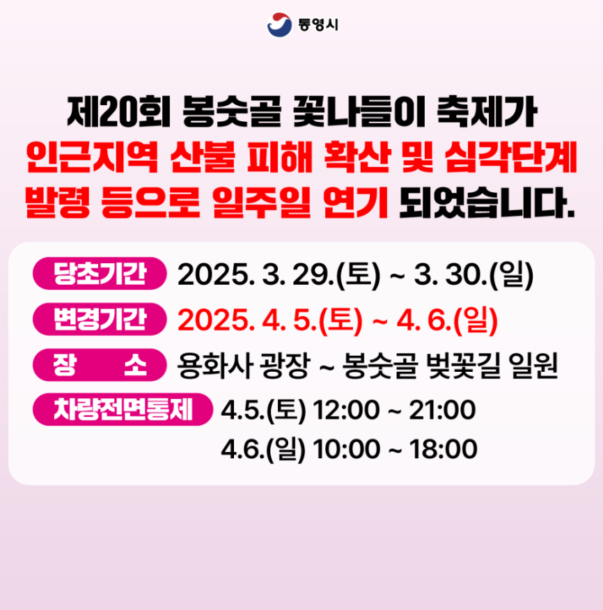 통영 벚꽃 축제 2025 봉숫골 꽃나들이