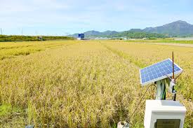 농업직불금 온라인 교육 신청