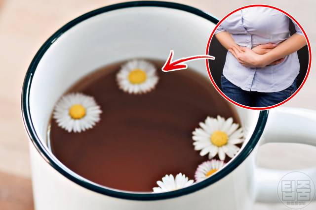 배에 가스찰때 해결법,배에 가스찰때 좋은 음식 카모마일차