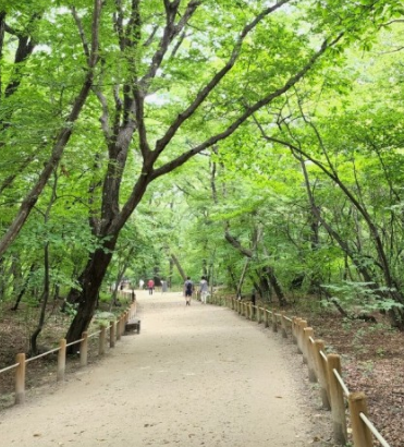 함양 가볼만한곳 추천여행지 BEST 10곳