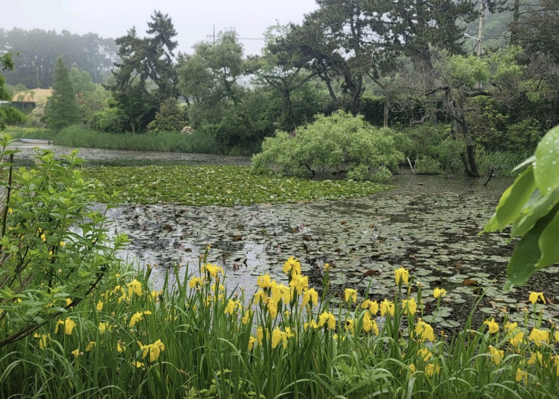 천리포수목원