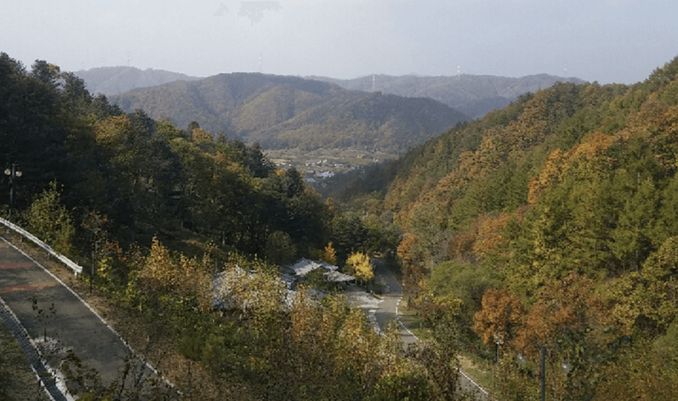 양평 남겨서 뭐 하게 맑은숲캠프