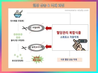 공복혈당 낮추는 방법에 대한 총정리 당뇨 건강관리_3