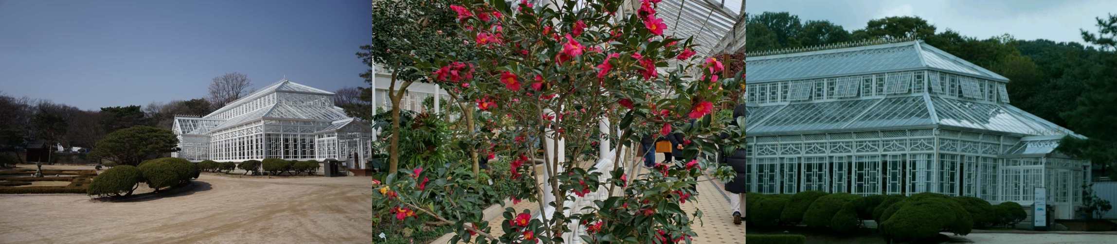 출처 : 창경궁 대온실 등록사진