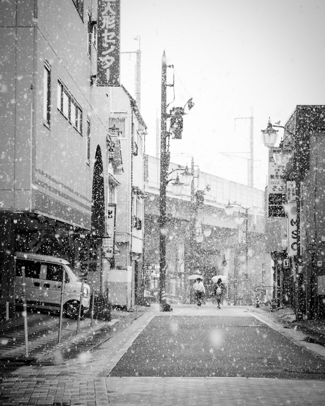 대설특보 택배 지연 조회 실시간 확인 완벽 가이드