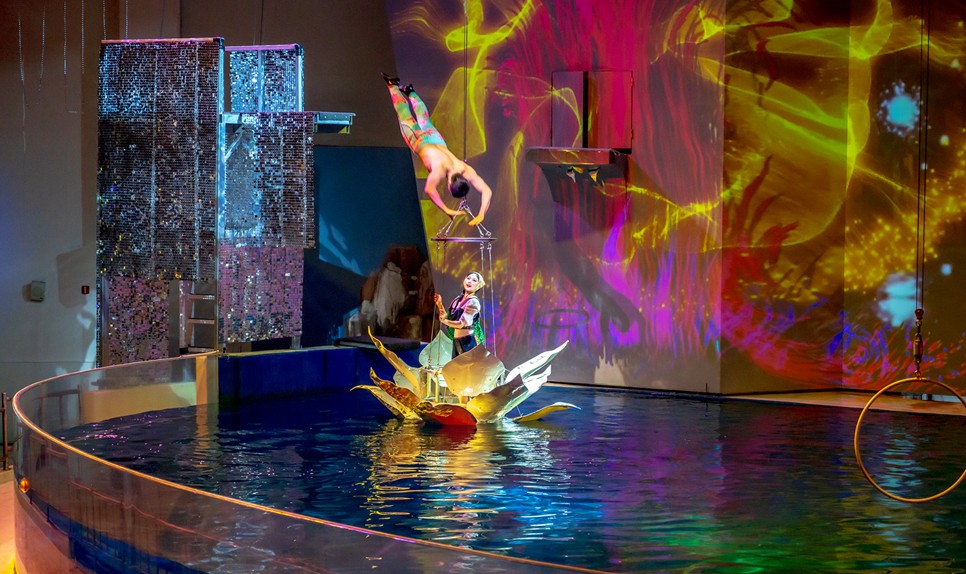 제주 동쪽 가볼만한곳 (오션 아레나)