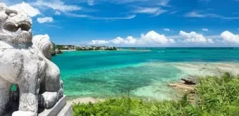 오키나와 국제거리 돈키호테에서 구매 가능한 술 종류 소개_7