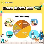 강아지 분리불안 훈련법