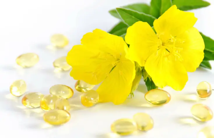 효능-성분-감마리놀렌산