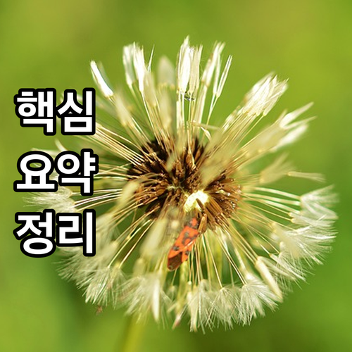 2025 춘천시 농기계 수리비 지원사..