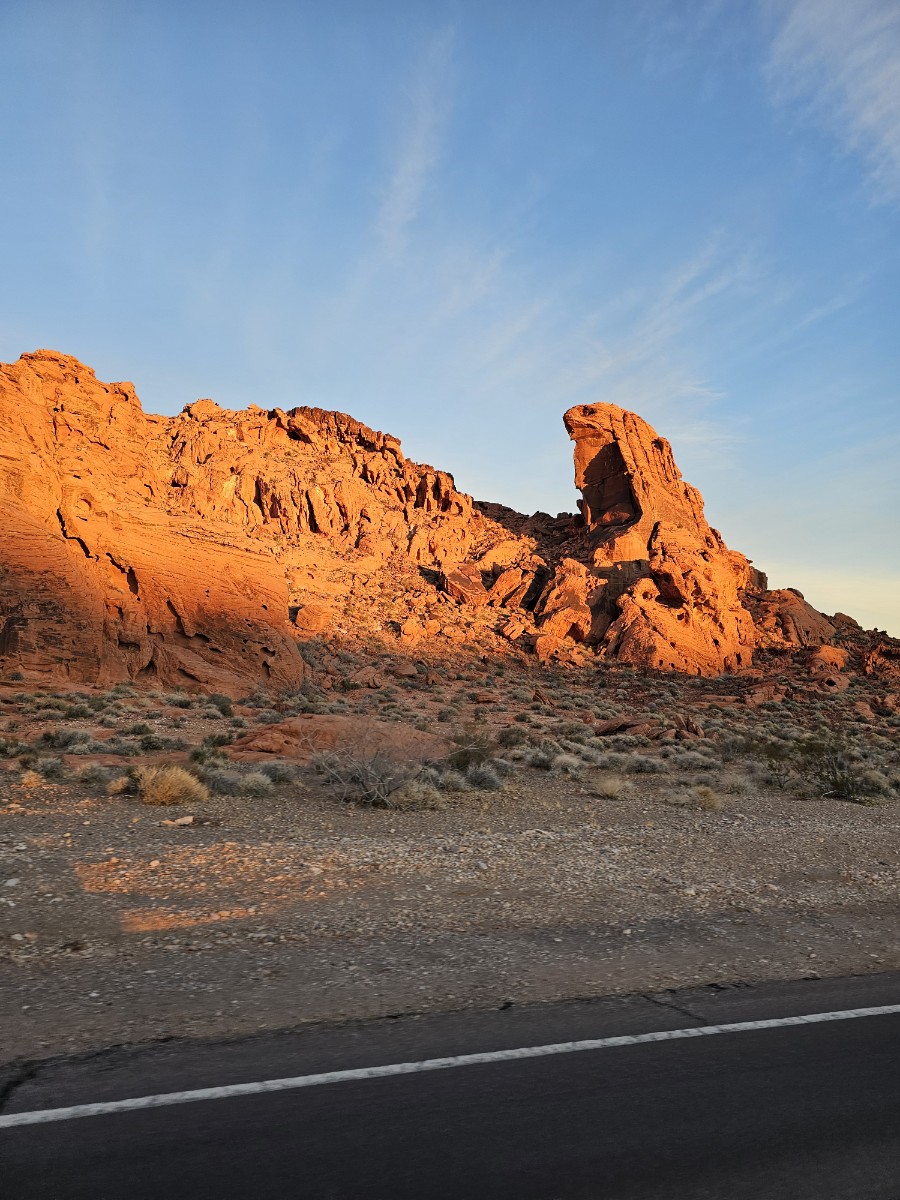 해뜰떼 도로 사진
